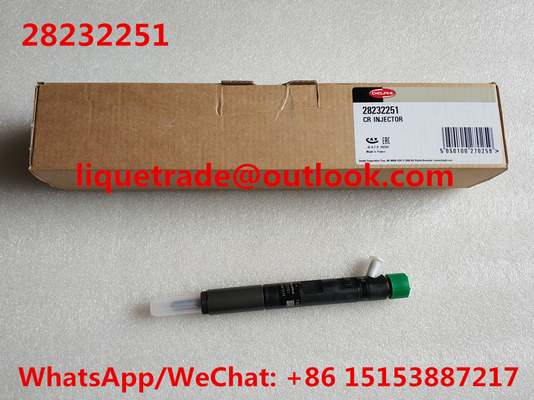 China DELPHI INJECTOR 28232251 Common rail injector 28232251 , 166001137R ,166001137 supplier