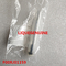 BOSCH Common rail injector valve F00RJ01159 , F 00R J01 159 , F00R J01 159 supplier