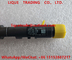 DELPHI common rail injector EJBR04201D , R04201D , A6460700987 , 6460700987 for Mercedes Benz supplier