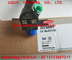 DELPHI Common Rail Injector 28230891 , A6510701387  Fuel Injector 6510701387 supplier